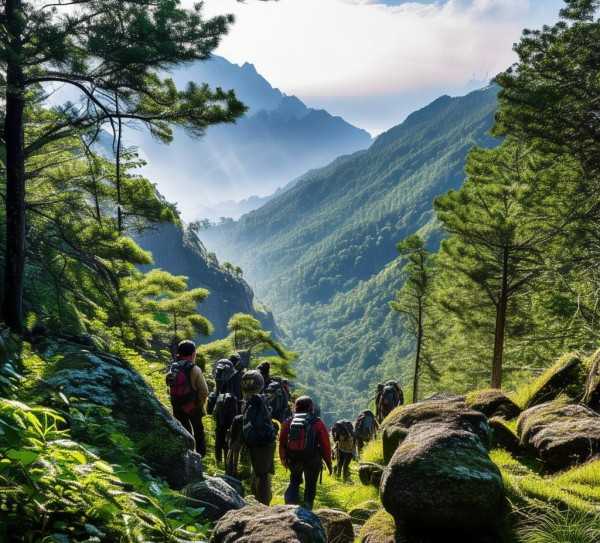 揭秘龟蒙山，自然奇观中的神秘之旅,探寻自然奇观，感受龟蒙山旅游景区的神秘魅力,旅游胜地,神秘,历史文化,第1张